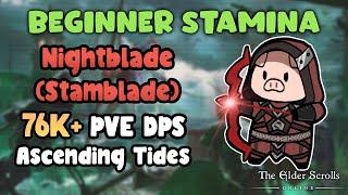 ESO Beginner Stamina Nightblade (Stamblade) 76k+ PVE DPS Ascending Tides Build