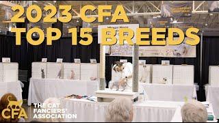 CFA reveals the top 15 pedigreed cat breeds that had everyone purring in 2023!