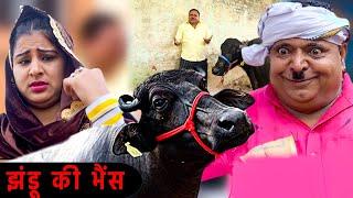 झंडू की भैंस - Comedy Video | Vanshika Sharma | Mahender Singh Jhandu | Comedy Video