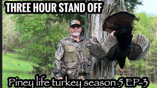 3 hour stand off! Tagged out in Tennessee.  PINEY LIFE TURKEY SEASON 5 EP 3