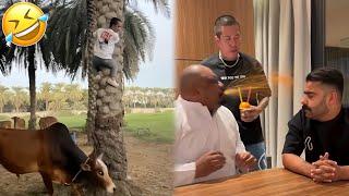 Best Arab Friends Pranks  Videos #069 – Arabs are Very Funny  | Arabic Humor Hub