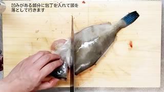 刺身にするなら皮を剥いではダメ!その理由を牛刀一本で薄造りを交えて検証(カワハギ系の捌き方)[魚屋の技術]