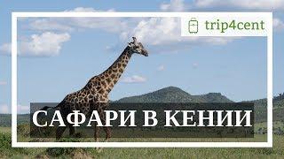 Сафари в Кении - тур на 5 дней