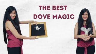 TURNING A PAPER BIRD INTO A REAL ONE!! | DOVE MAGIC | FEMALE MAGICIAN | MAGICIAN ZENIA