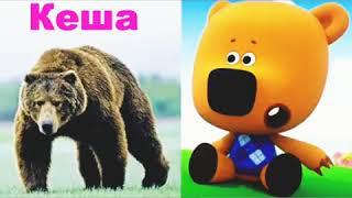 Ми-ми-мишки в реальной жизни!/Be-be-bears in real live!