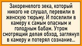 Как бабы у зека чуть не оторвали! Сборник свежих анекдотов! Юмор!