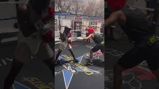 Crazy counter from SENSEBOY- back to gym after his  debut. #boxer #boxingworkout #sparring