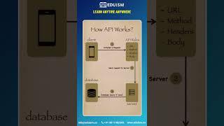 How API Works? #api #programminglanguage #css #html #js #java #ai #ml #webdev #dataanalysis #coding