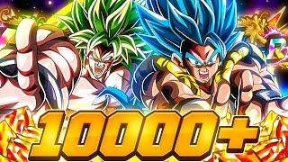 6000 STONES SPENT!! LR Gogeta Blue SSJ Broly Full Power 9 Year JP Summons | DBZ Dokkan Battle