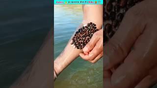 Why do these insects stick?  Ticks on human #facts #viral #shorts