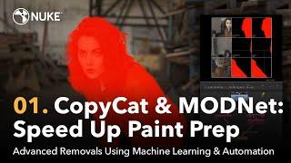 Advanced Removals | 01. CopyCat & MODNet: Speed Up Paint Prep