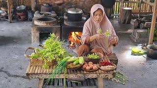 Memetik Bunga Pepaya di Kebun | Masak Tumis Bunga Pepaya Teri, Telur Gulung, Bakwan, dan Ubi Gulung