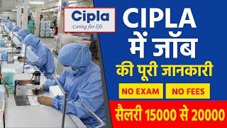 Cipla recruitment 2022 | B Pharma Job| Baddi Himachal Job | job vacancy 2022