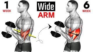 Full Arms Exercises with Dumbbells ( Biceps and Triceps ) 