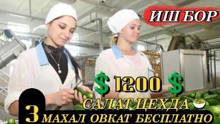 ИШ БОР 10000 ТА ОДАМ КЕРАК 3 МАХАЛ ОВКАТ. ЁТОГ ДОКУМЕНТ КИЛИБ БЕРАДИ 1200#мусофирлар