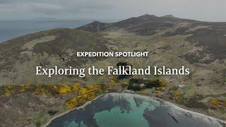 Exploring the Falkland Islands | Expedition Spotlight | Lindblad Expeditions