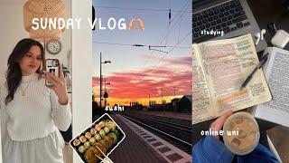 SUNDAY VLOG // Blockseminar, online Uni, Life Update…