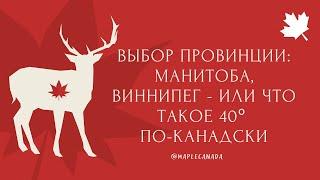 Выбор провинции: Манитоба, Виннипег - или что такое 40º по-канадски?