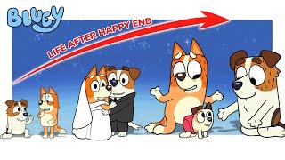 Bluey Heeler New Season Life After Happy End Full | Go WOW