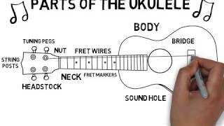 Parts of the ukulele