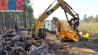 Incredible Dangerous Fastest Cutting Tree Machines, Extreme Dangerous Large Excavator Destroy Stump