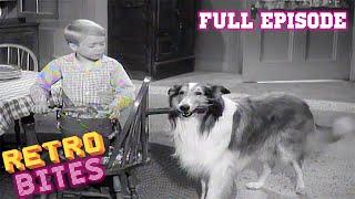 Lassie | A Christmas Story | Christmas Special | Full Episodes  