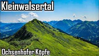 Schönste Tour im Kleinwalsertal - Spektakuläre Gratwanderung über die Ochsenhofer Köpfe zum Grünhorn