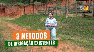 Como posso fazer irrigação do jeito certo? Conheça os 3 métodos de irrigação existentes!