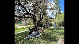 Calouste Gulbenkian Museum in Lisbon, Portugal  -  Lisbon's Gem, a Cultural Pride