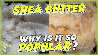 SHEA BUTTER how to identify the REAL from the FAKE