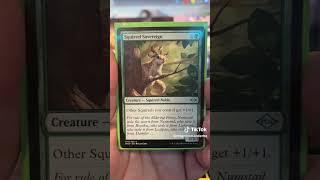 Magic the Gathering EDH deck - "The Nut General: The second Coming"  Part Two