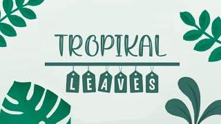 AESTHETIC TROPICAL LEAVES INTRO + OUTRO TEMPLATES || Free intro and outro templates (no text)