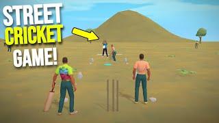 NEW STREET CRICKET GAME ON PC!