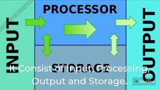 What is Information Processing Cycle? | Data Processing Cycle