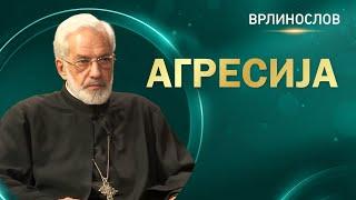 Врлинослов - Агресија, протојереј-ставрофор проф. др Милош Весин