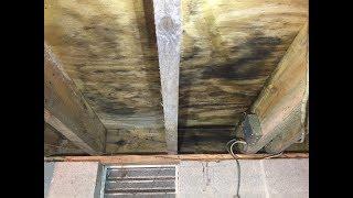 Crawl Space Mold Remediation