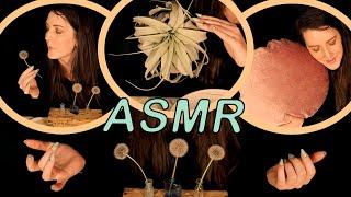 ~ASMR Intoxicating Sounds for Head Tingles ~