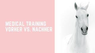 Vorher Nachher Medical Training - Pferd lässt sich nicht anfassen