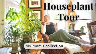 Houseplant Tour:  My Mom's Houseplant Collection 2022