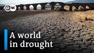 Disruption in water cycle threatens the Earth | DW News