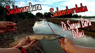 Mancing Haruan Dalam Sungai Baru Dicuci