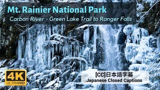 Mt Rainier National Park | Carbon River Hike: Green Lake Trail - Ranger Falls | Winter