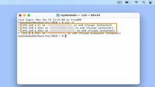 Useful macOS network terminal commands - An introduction to  arp scan