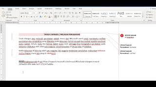 Track changes garis merah tegak lurus pada microsoft word