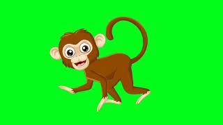 monkey#green screen with fun