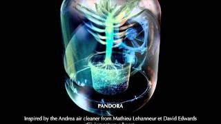 Pandora (US) Luxinside