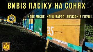 Вивіз пасіку на соняшник. І декілька цікавих питань.