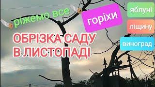 🪚Обрізаємо все 3 листопада