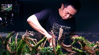 PLANTED TANK LEGENDS - 7x WORLD CHAMPION JOSH SIM WORKSHOP