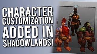 Shadowlands Amazing Character Customization! - WoW: Battle For Azeroth 8.2